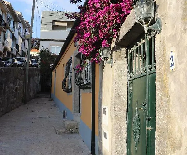 Great & Cosy Foz Velha